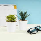 https://www.contenidopromo.com/Images/Items/KTC-750-B_5.jpg