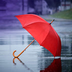 https://www.contenidopromo.com/Images/Items/PAR-023-R_1.jpg