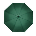 https://www.contenidopromo.com/Images/Items/PAR-029-V_1.jpg
