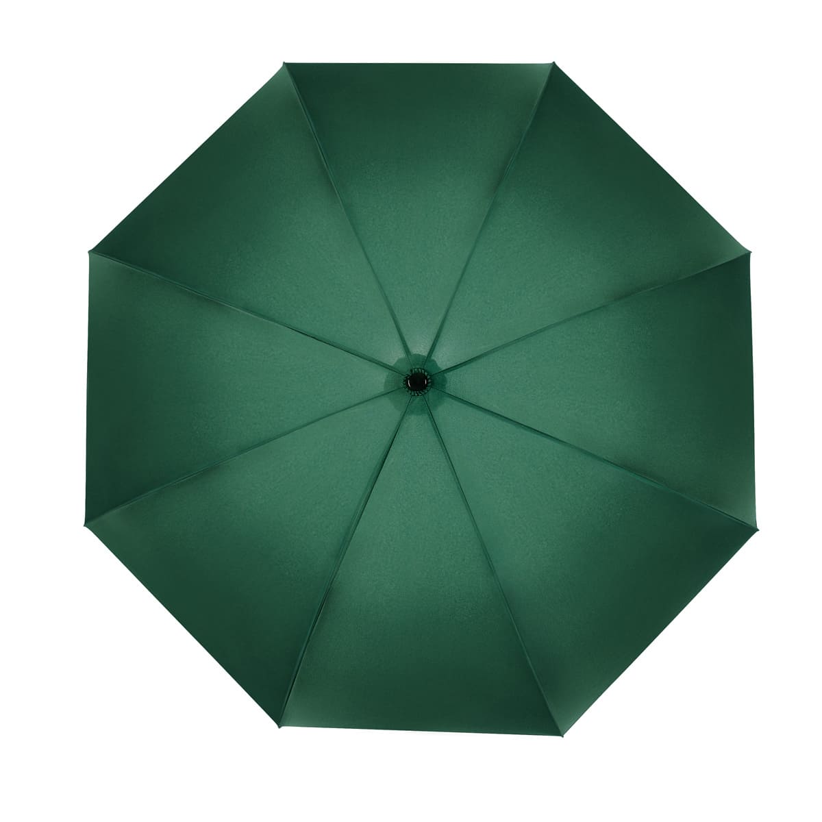 https://www.contenidopromo.com/Images/Items/PAR-029-V_1.jpg