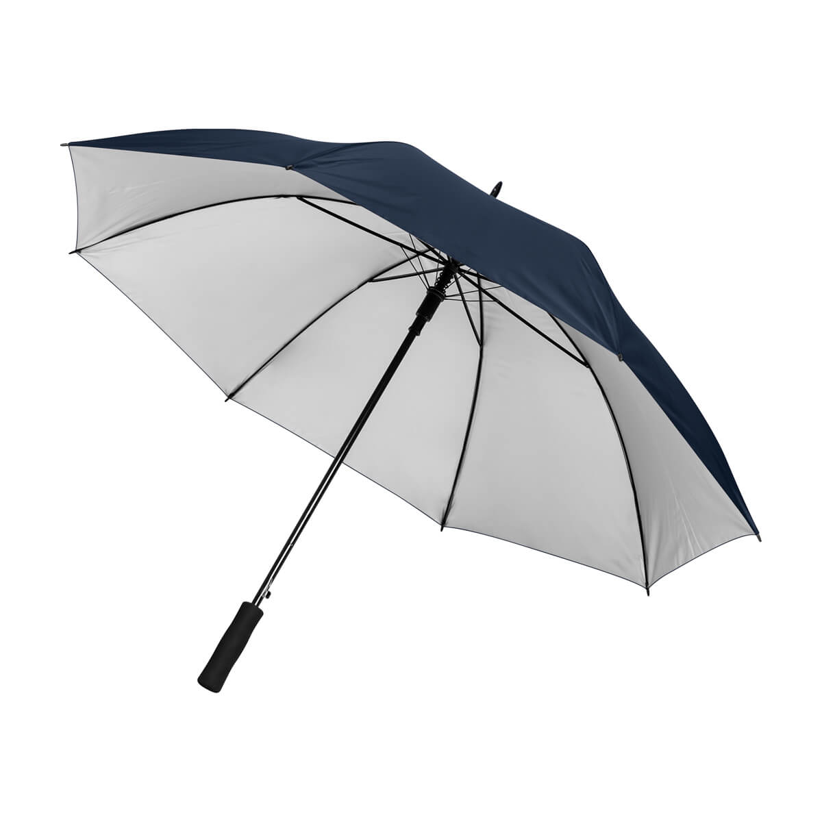 https://www.contenidopromo.com/Images/Items/PAR-034-AM_2.jpg