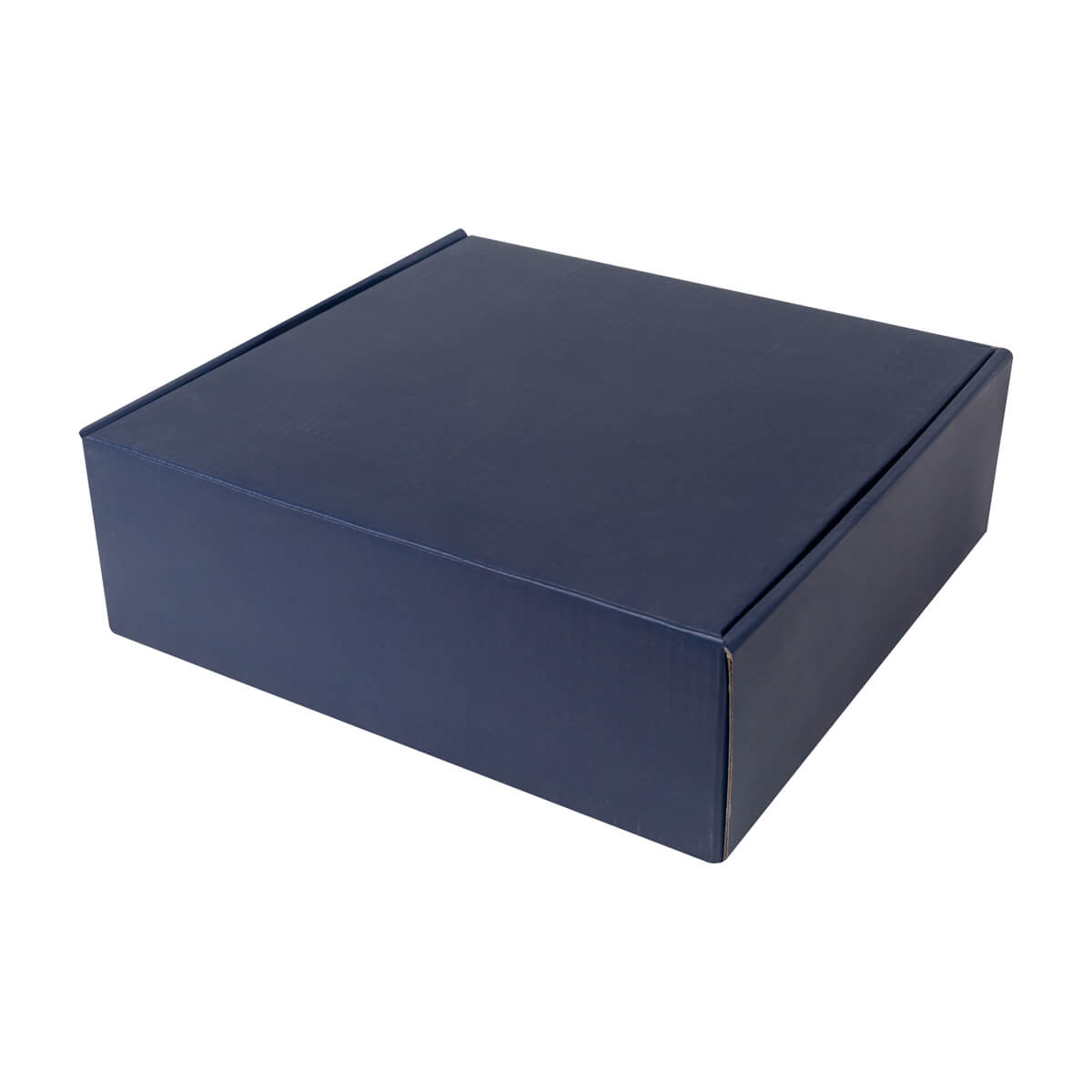 https://www.contenidopromo.com/Images/Items/TMPS-258-AM_5.jpg
